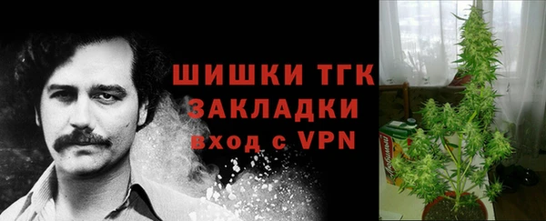ECSTASY Новодвинск