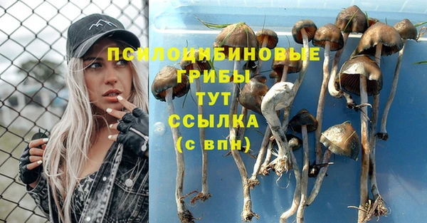 экстази Новозыбков