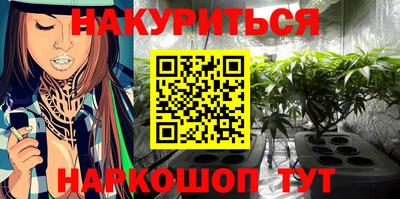 2c-b Новозыбков