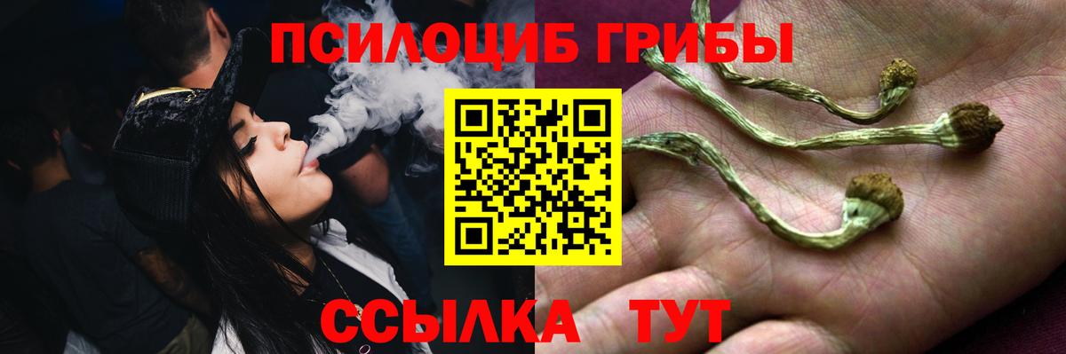 Хабаровск  Псилоцибиновые грибы GOLDEN TEACHER  Галлюциногенные грибы Psilocybe  что такое   Вход с VPN 