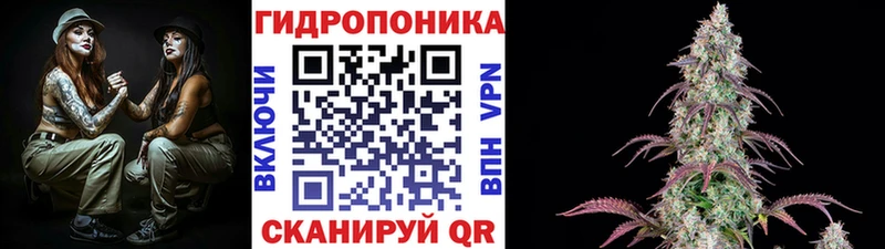 Бошки Шишки сатива  гидра ссылка  Хабаровск 